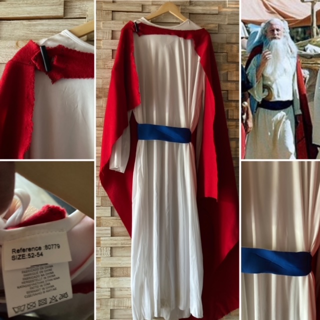 Costume Druide Panoramix